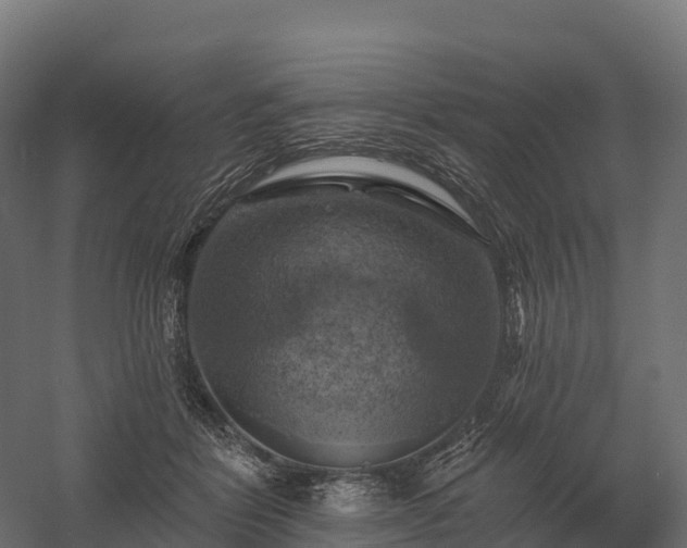 X0000057570412200509231231