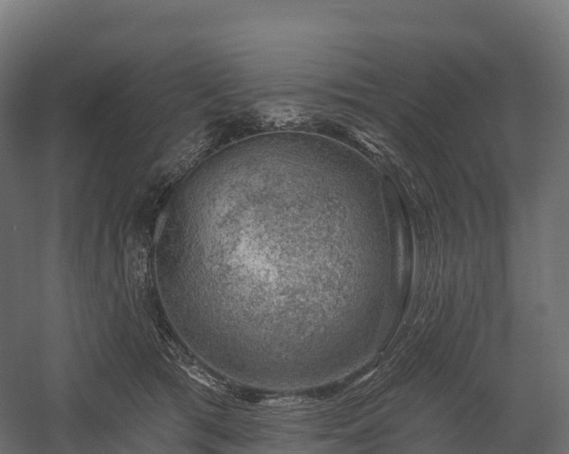X0000057570417200509231230