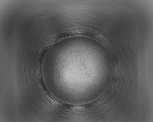 X0000057570418200509231230