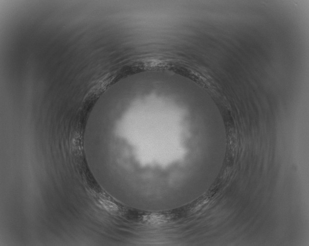 X0000057570419200509231230