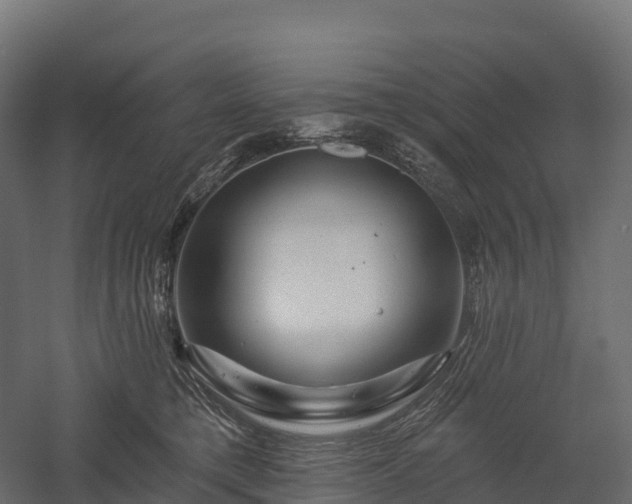 X0000057570421200509231230