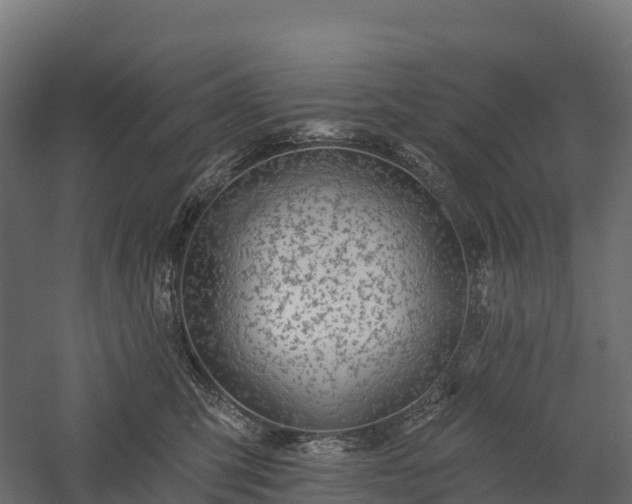 X0000057570423200509231230
