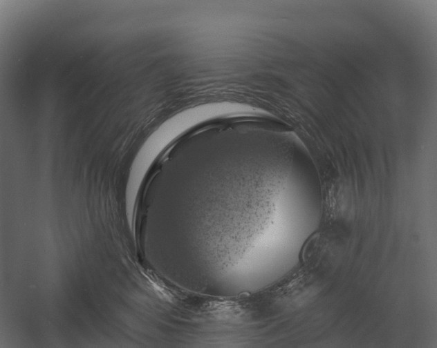 X0000057570424200509231230