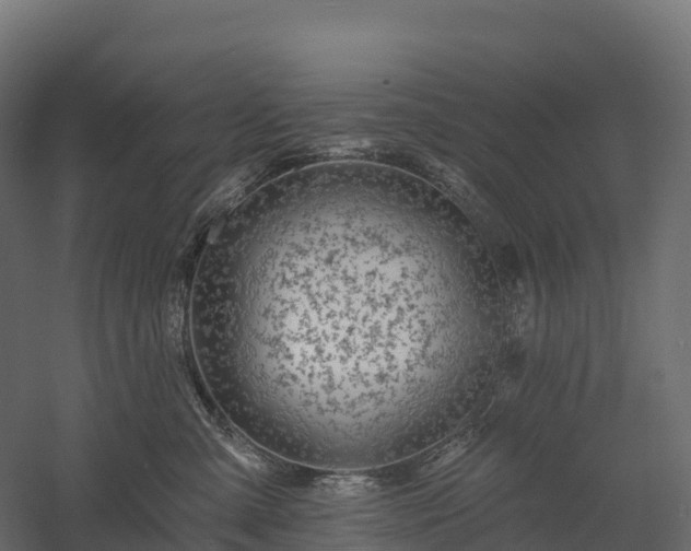X0000057570427200509231230