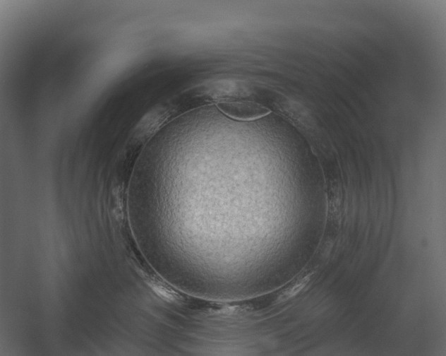 X0000057570430200509231230