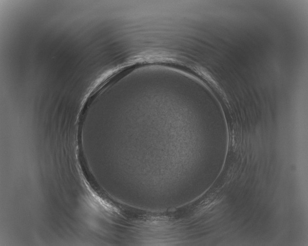 X0000057570438200509231229