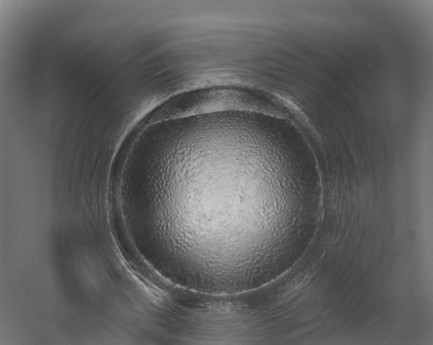 X0000057570439200509231229