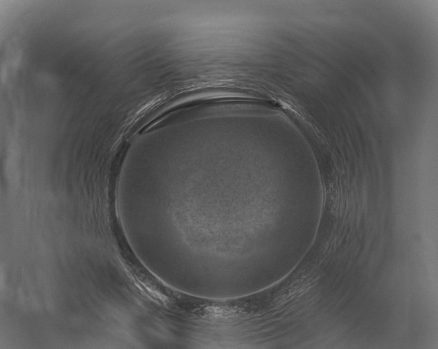X0000057570442200509231230