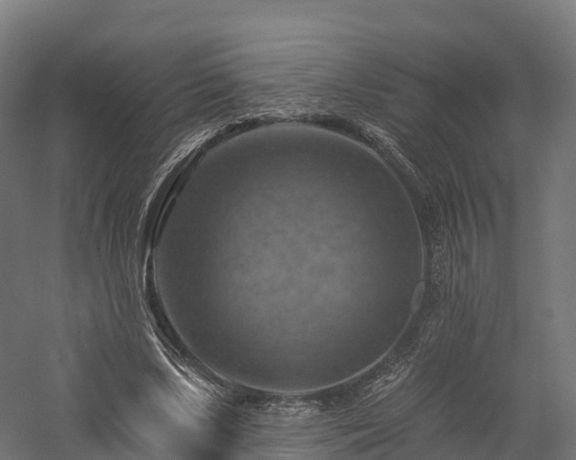 X0000057570443200509231230