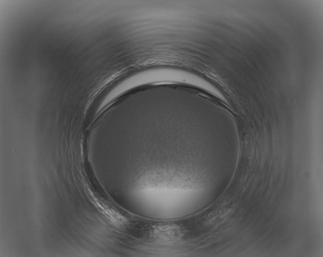 X0000057570446200509231230