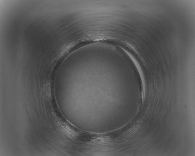 X0000057570447200509231230