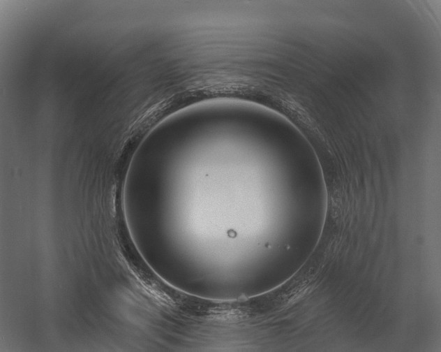 X0000057570454200509231230