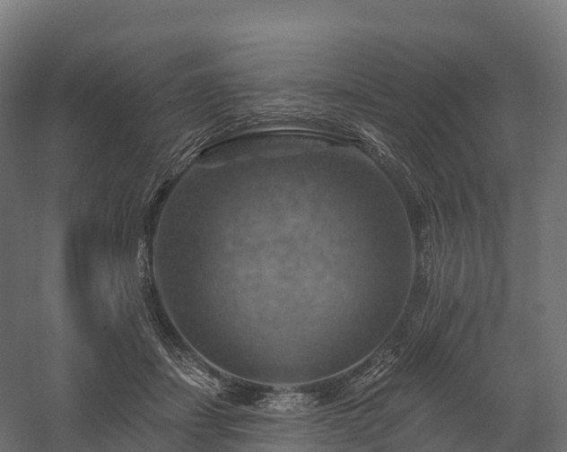 X0000057570459200509231230