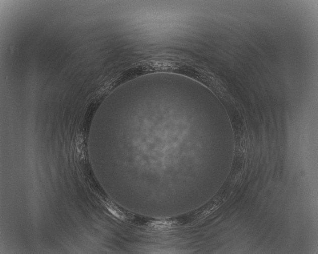 X0000057570465200509231230