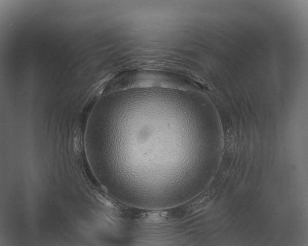 X0000057570474200509231230