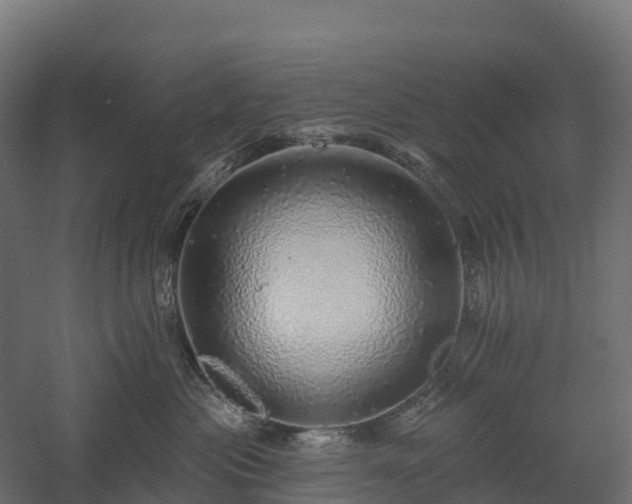 X0000057570477200509231230