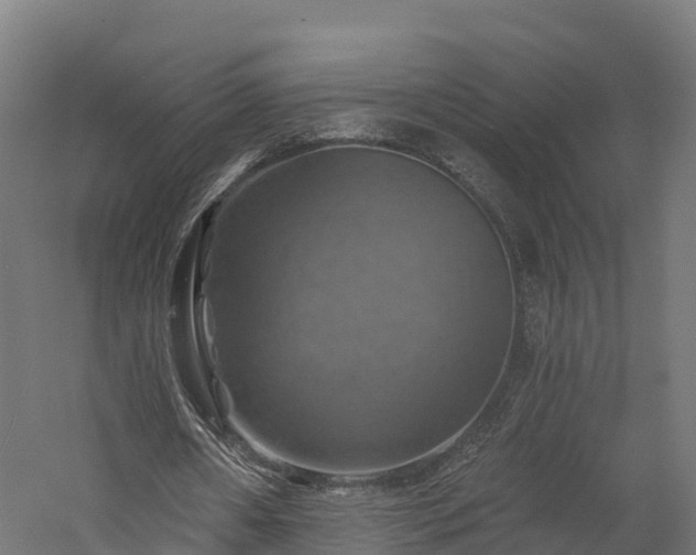 X0000057570482200509231229