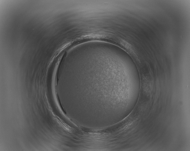 X0000057570486200509231229