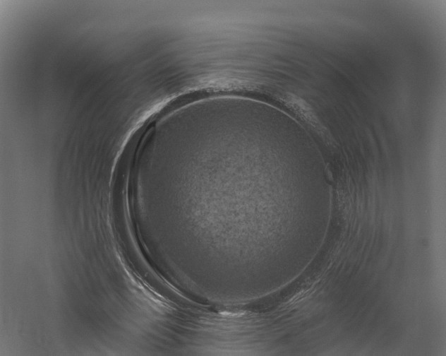 X0000057570488200509231229