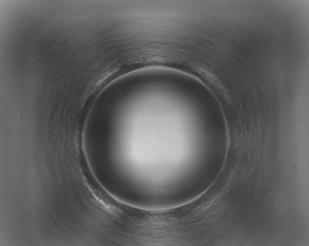 X0000057570489200509231229