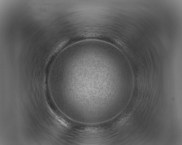 X0000057570490200509231229