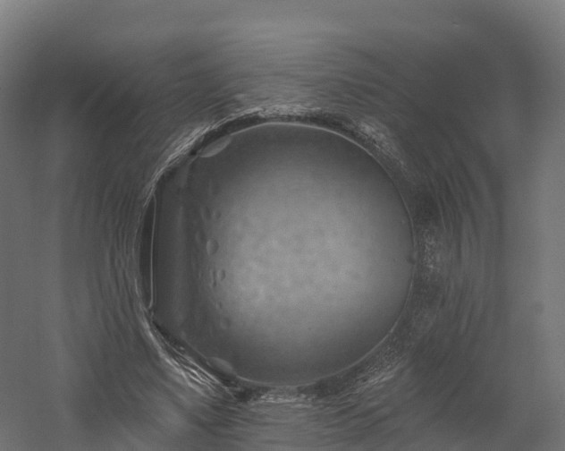 X0000057570491200509231229