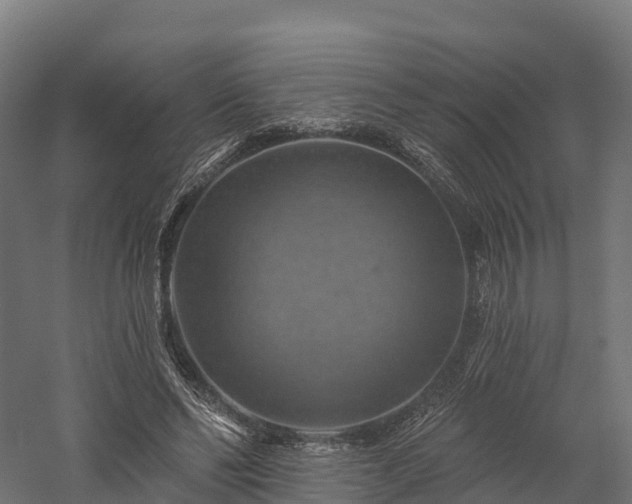X0000057570494200509231229