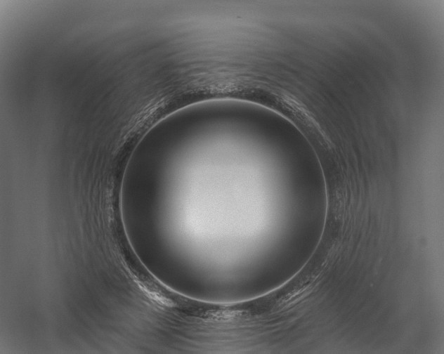 X0000057570497200509231229