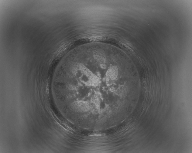 X0000057570499200509231229