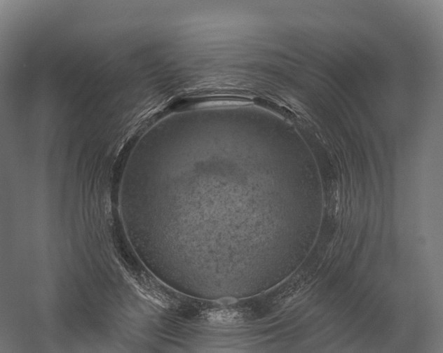 X0000057570500200509231229
