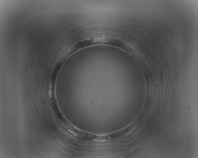 X0000057570502200509231229