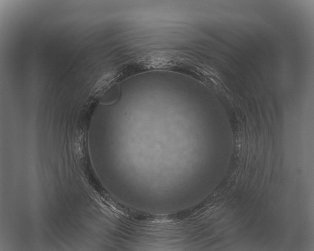 X0000057570503200509231229