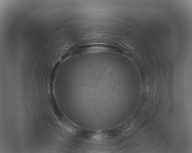 X0000057570504200509231229