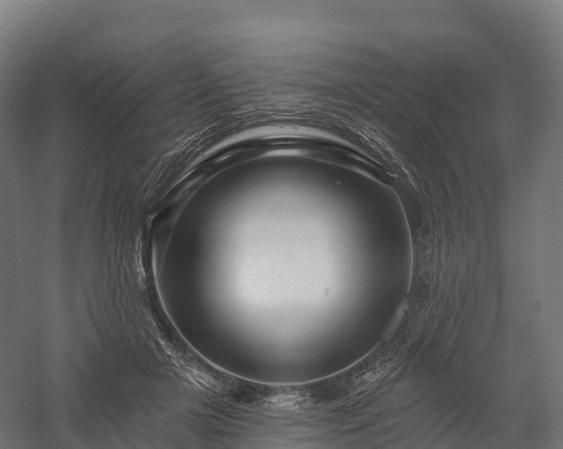 X0000057570505200509231229