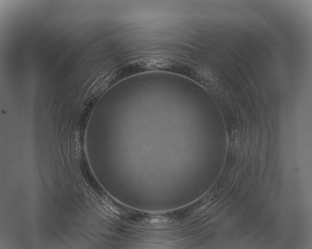 X0000057570506200509231229