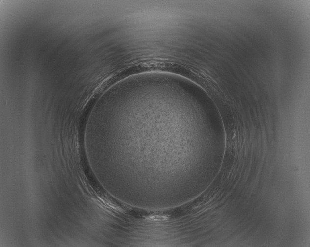 X0000057570508200509231229