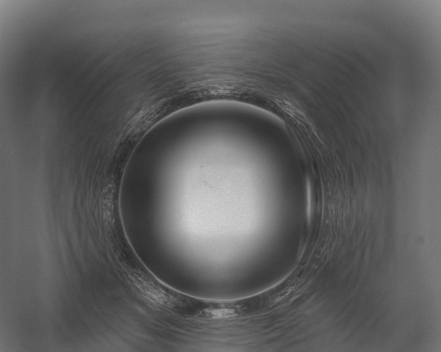 X0000057570509200509231229