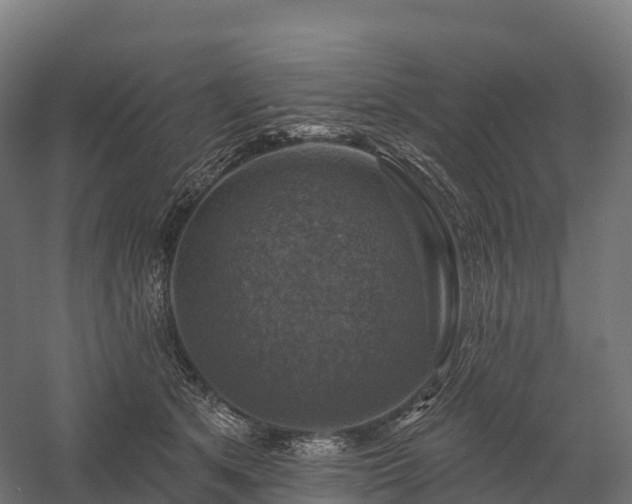 X0000057570513200509231229