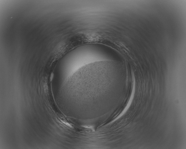 X0000057570516200509231229