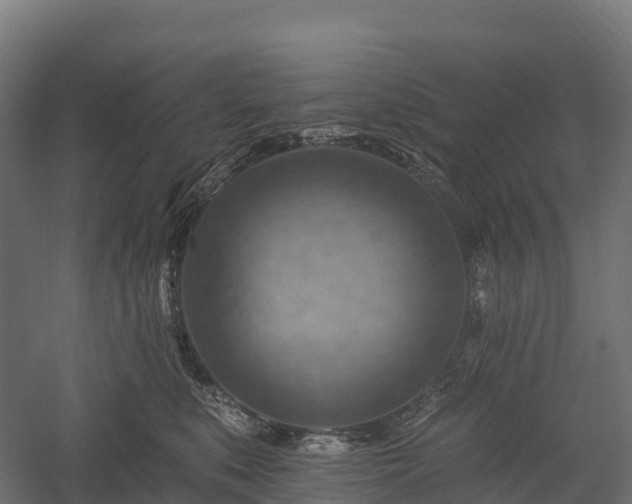 X0000057570519200509231229