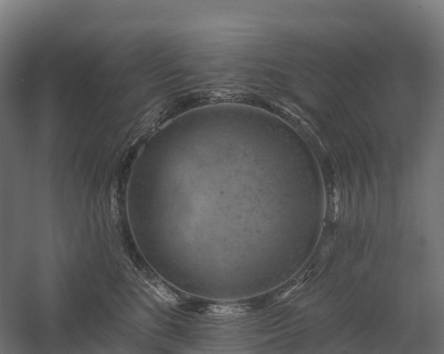 X0000057570520200509231229