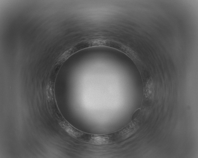 X0000057570522200509231229