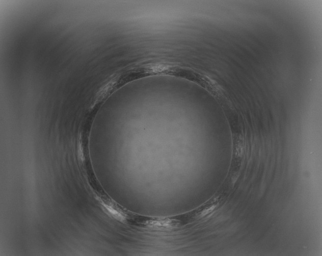 X0000057570524200509231229