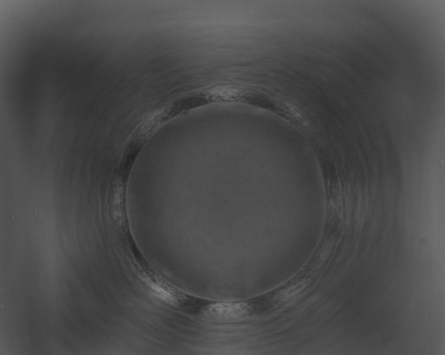 X0000057570526200509231229