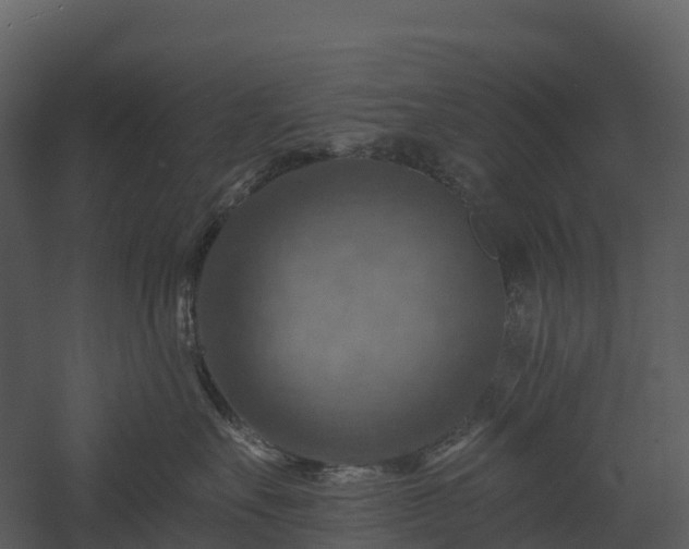 X0000057570527200509231229