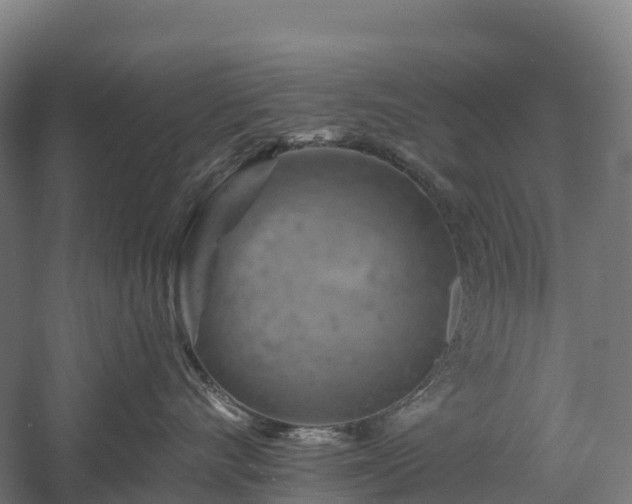 X0000057570528200509231229