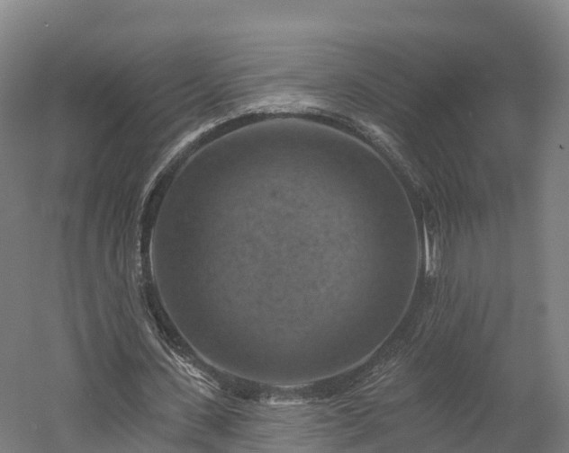 X0000057570531200509231228