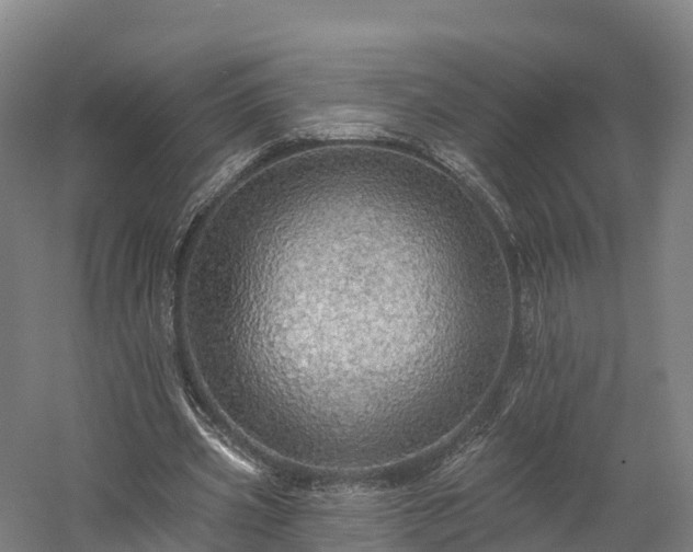 X0000057570533200509231228