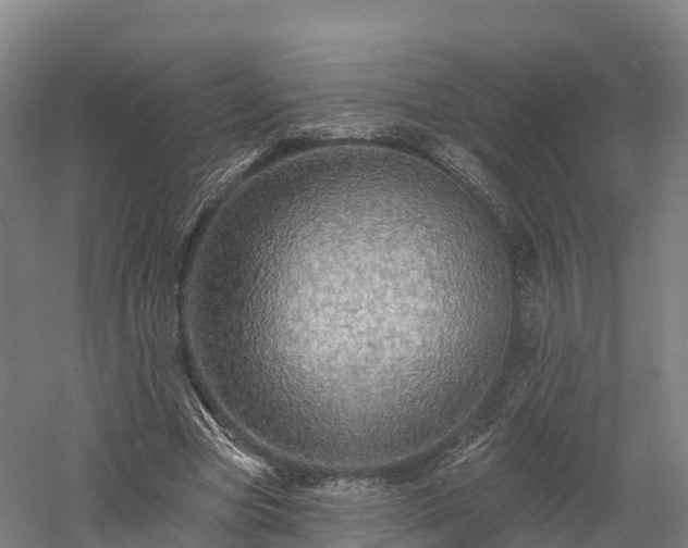 X0000057570537200509231228