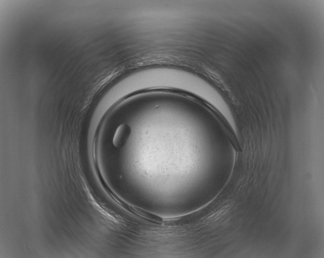 X0000057570538200509231228